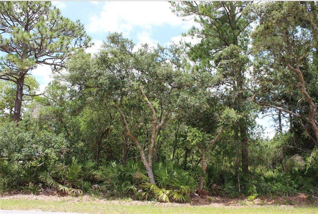 Eustis, FL 32736,Lot 15 & 16 VITEX AVE