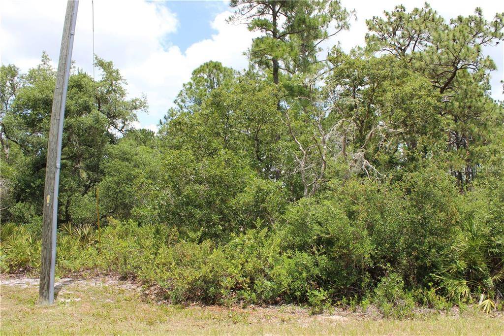 Eustis, FL 32736,Lot 18 VITEX AVE