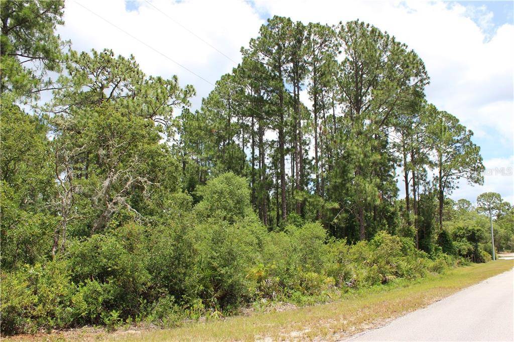 Eustis, FL 32736,Lot 18 VITEX AVE