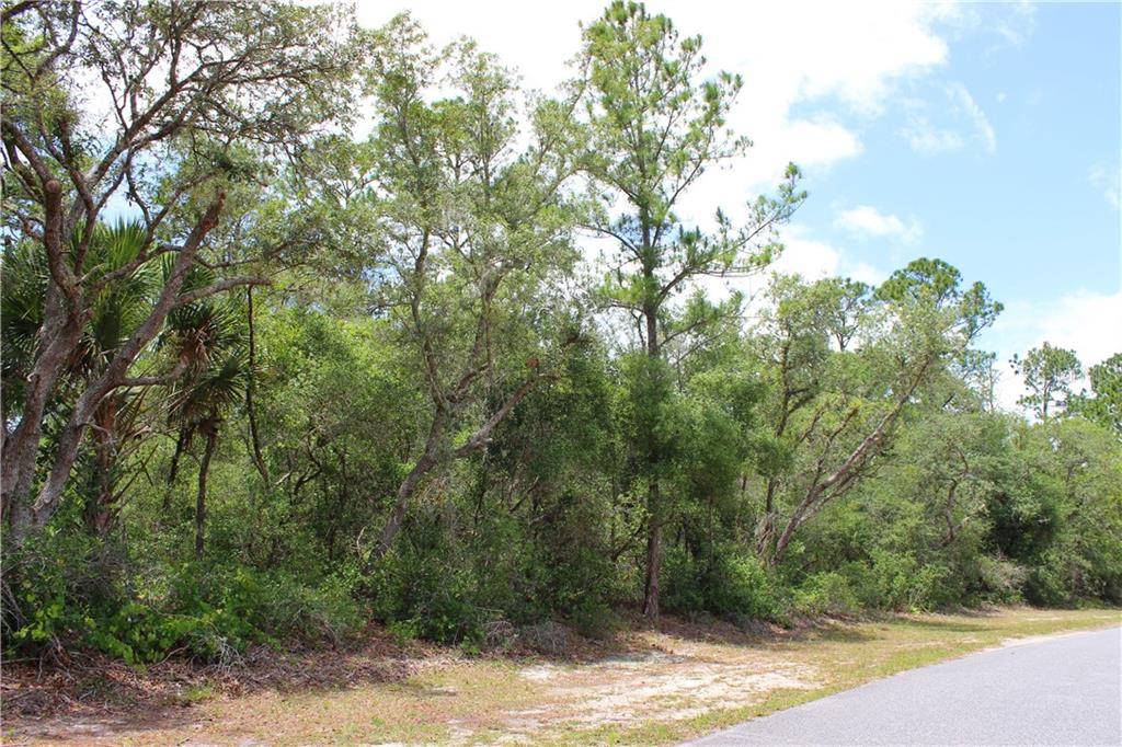 Eustis, FL 32736,Lot 20 POINCIANA ST