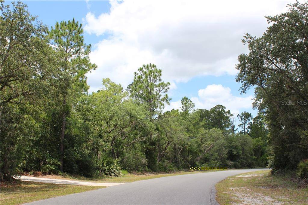 Eustis, FL 32736,Lot 20 POINCIANA ST