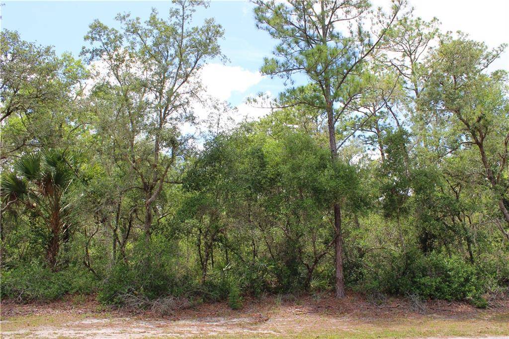 Eustis, FL 32736,Lot 20 POINCIANA ST