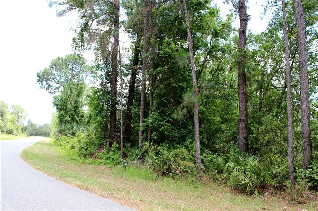 Eustis, FL 32736,Lot 1 & 2 ROYAL TRAILS RD