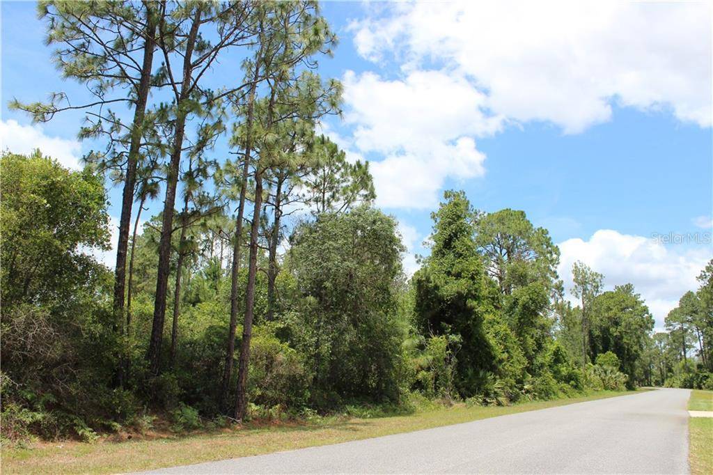 Eustis, FL 32736,Lot 1 & 2 ROYAL TRAILS RD