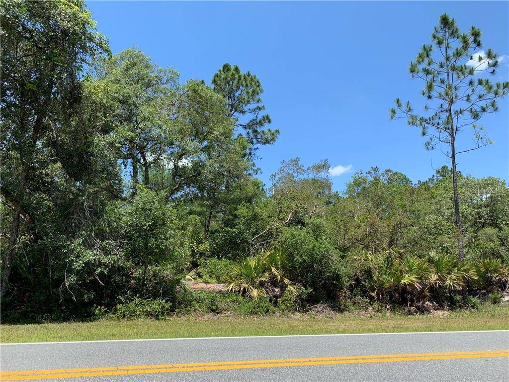 Eustis, FL 32736,Lot 8 ROYAL TRAILS RD