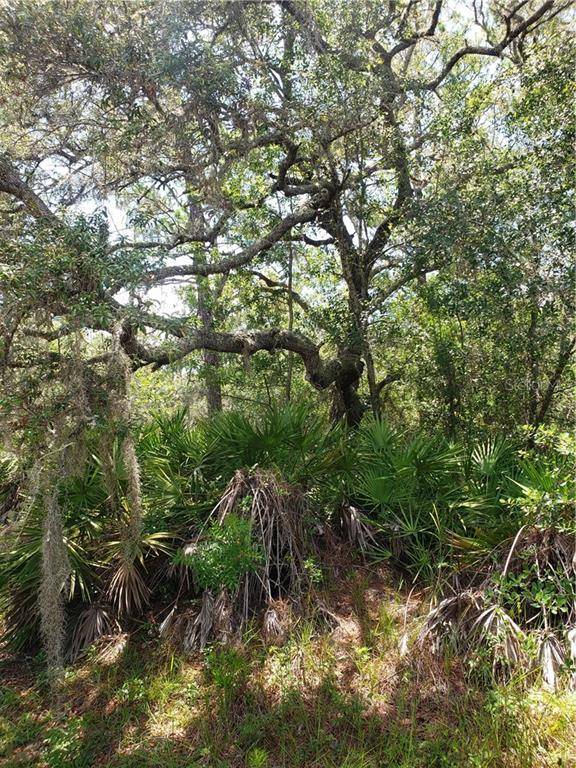 Eustis, FL 32736,CINNAMON AVE