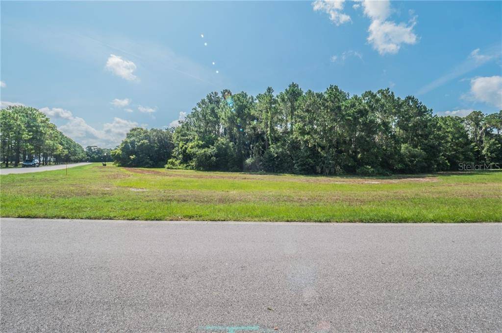 Tavares, FL 32778,Section I Lot 27 CYPRESS POINTE