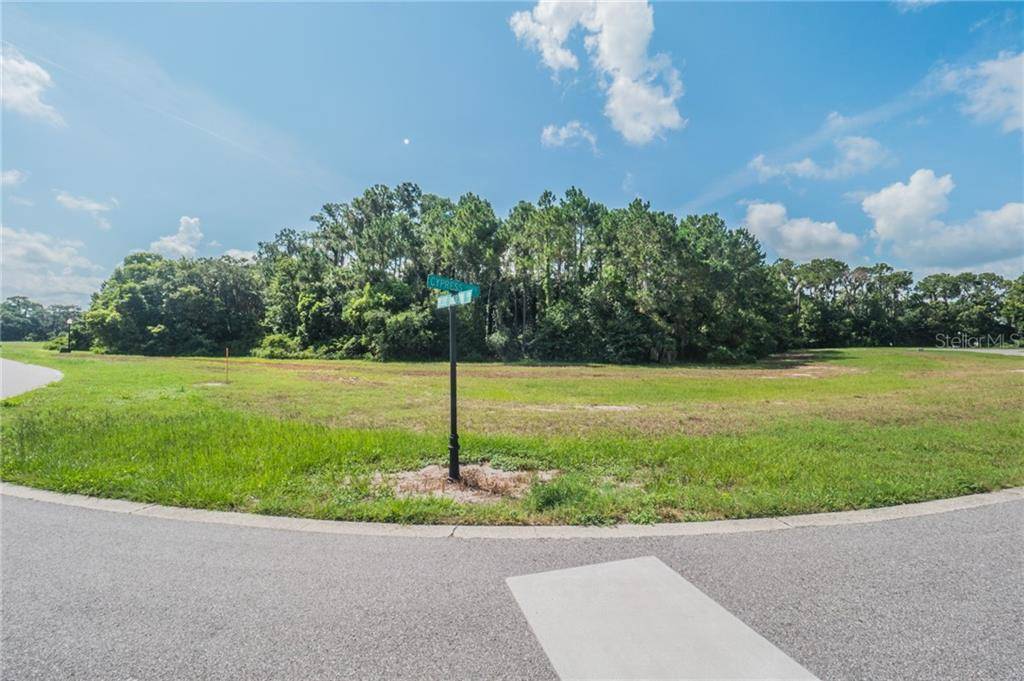 Tavares, FL 32778,Section I Lot 27 CYPRESS POINTE