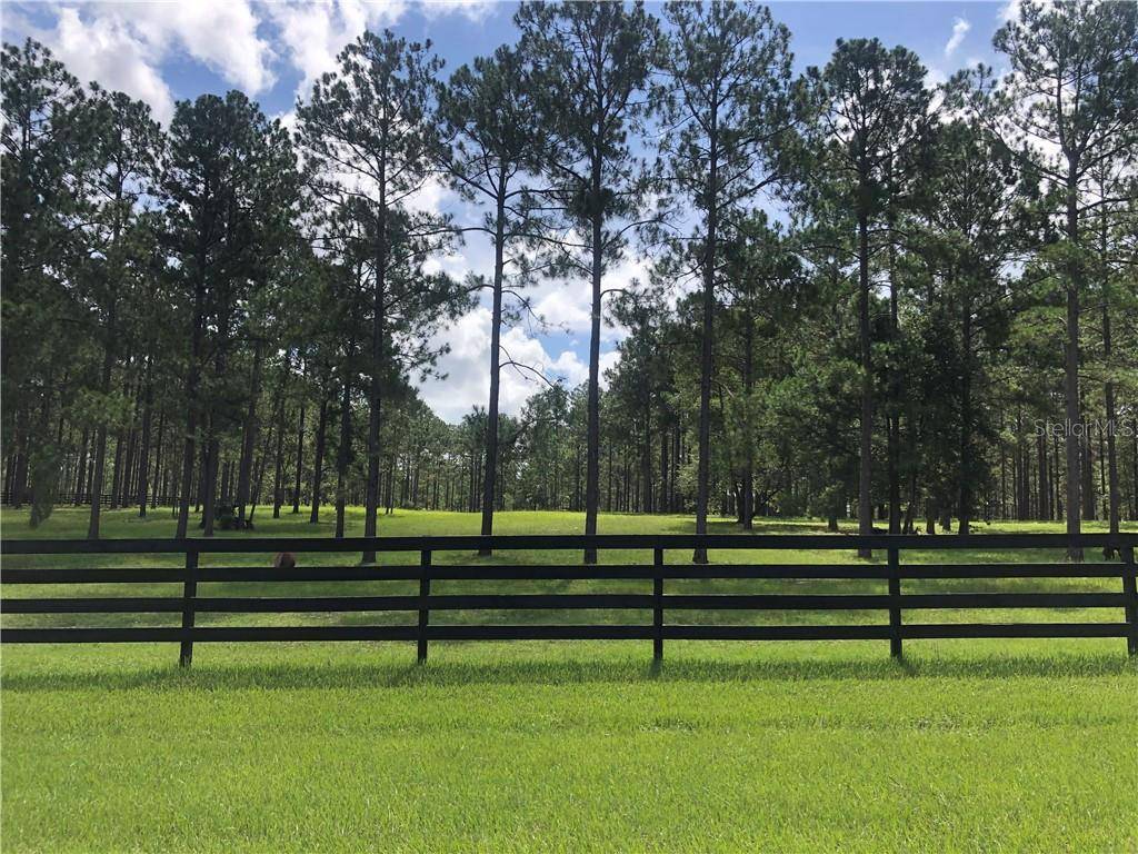 Eustis, FL 32736,35340 PINEGATE TRL