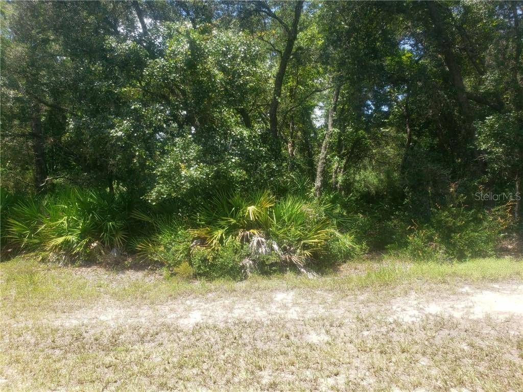 Eustis, FL 32736,ASPEN ST