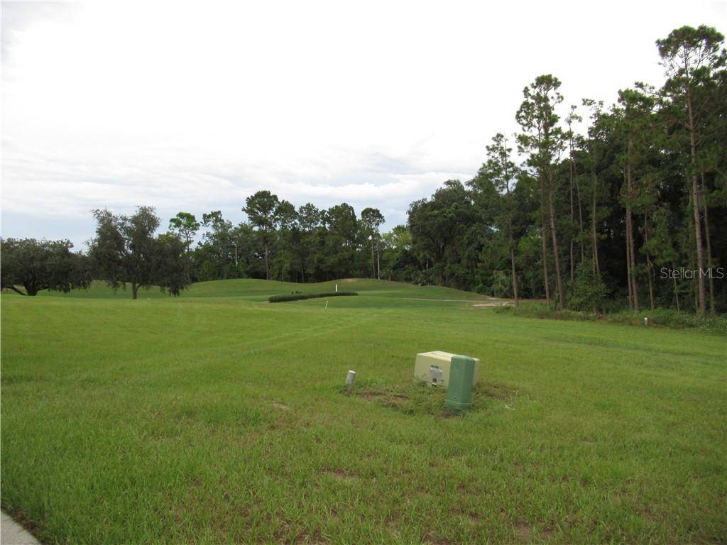 Howey In The Hills, FL 34737,9500 SAN FERNANDO CT