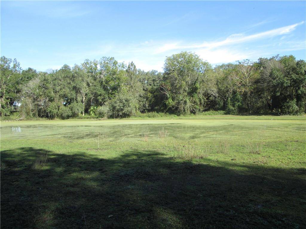 Center Hill, FL 33514,COUNTY ROAD 567