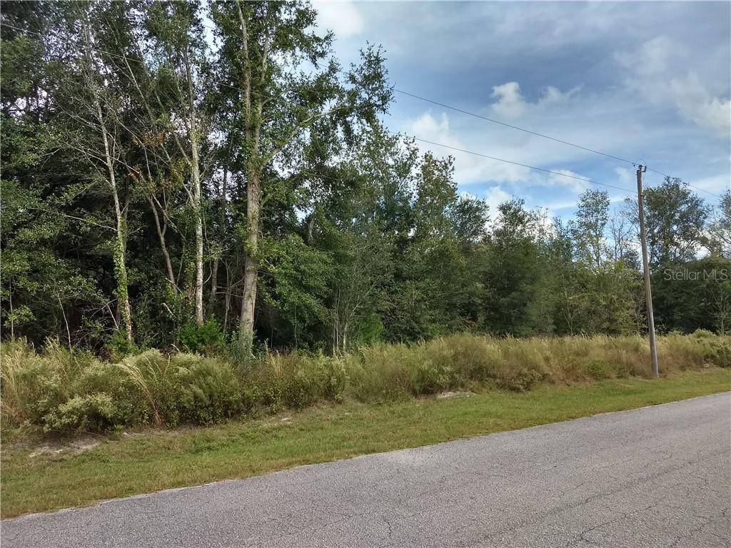 Summerfield, FL 34491,TBD SE 156TH PLACE RD