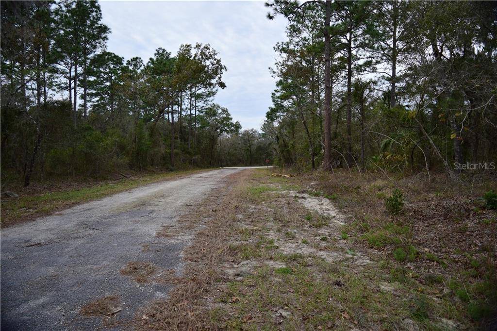 Dunnellon, FL 34431,00 SE 100TH PL