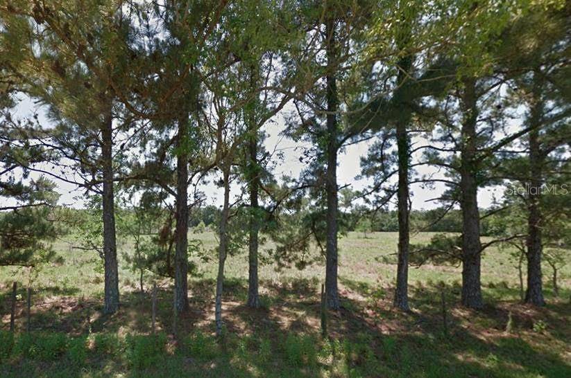 Brooksville, FL 34604,SANDLEWOOD AVE #Lot 20