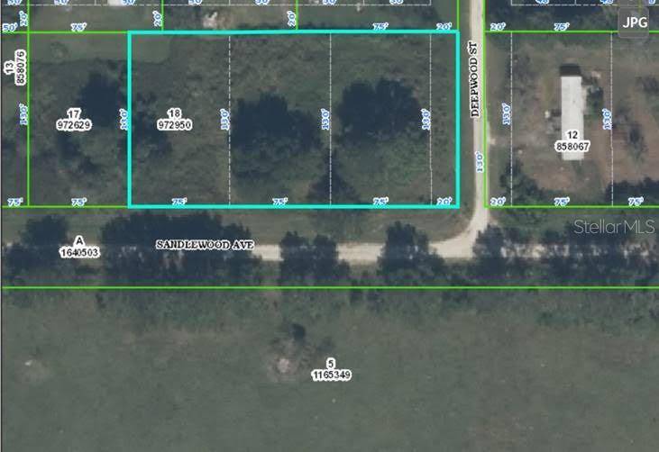 Brooksville, FL 34604,SANDLEWOOD AVE #Lot 20