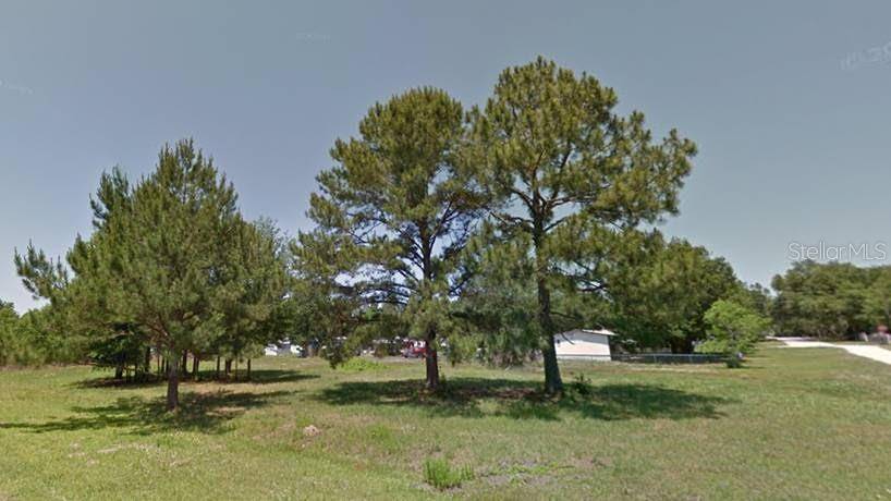 Brooksville, FL 34604,SANDLEWOOD AVE #Lot 20