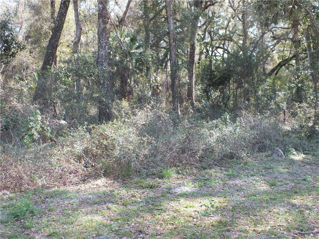 Summerfield, FL 34491,SE 32ND COURT ROAD