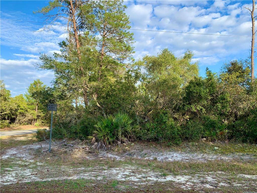 Eustis, FL 32736,Lot 1 NUTMEG AVE