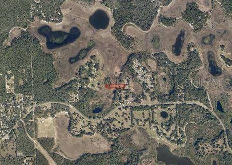 Umatilla, FL 32784,SE 261ST AVE