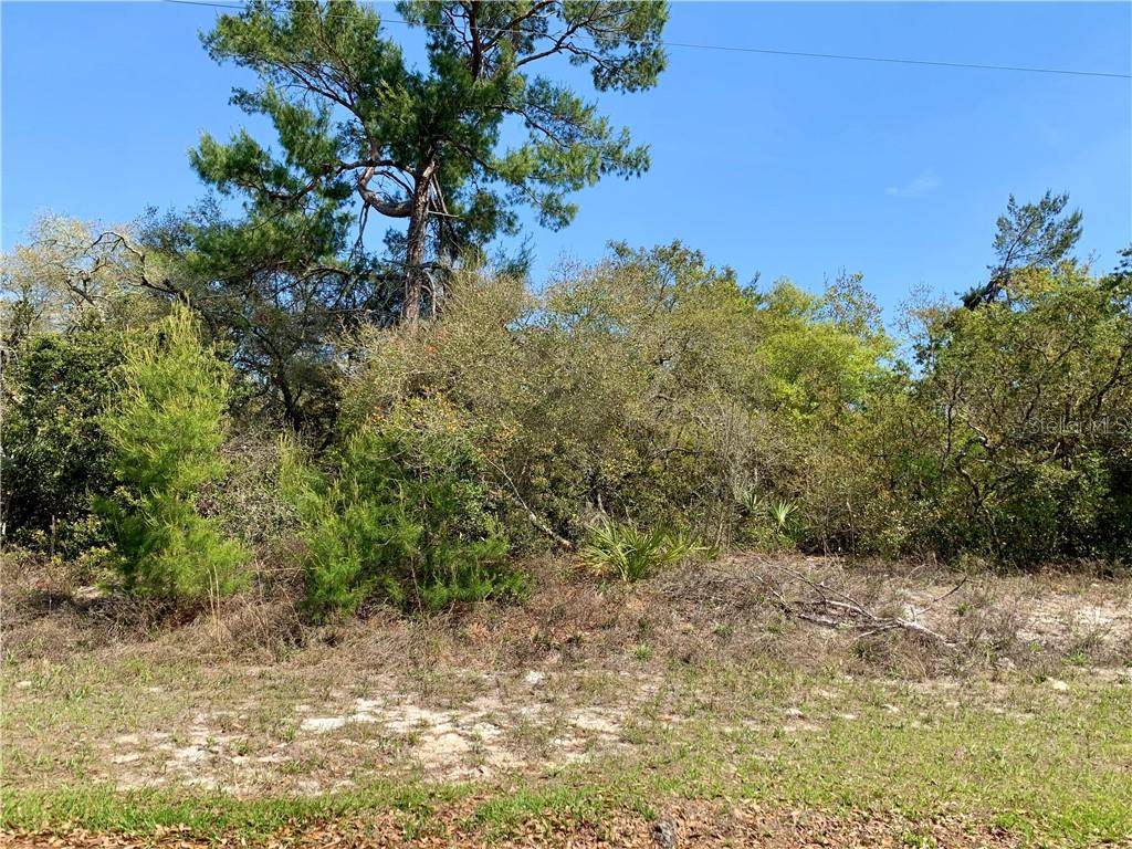 Eustis, FL 32736,Lot 8 LOCUST ST