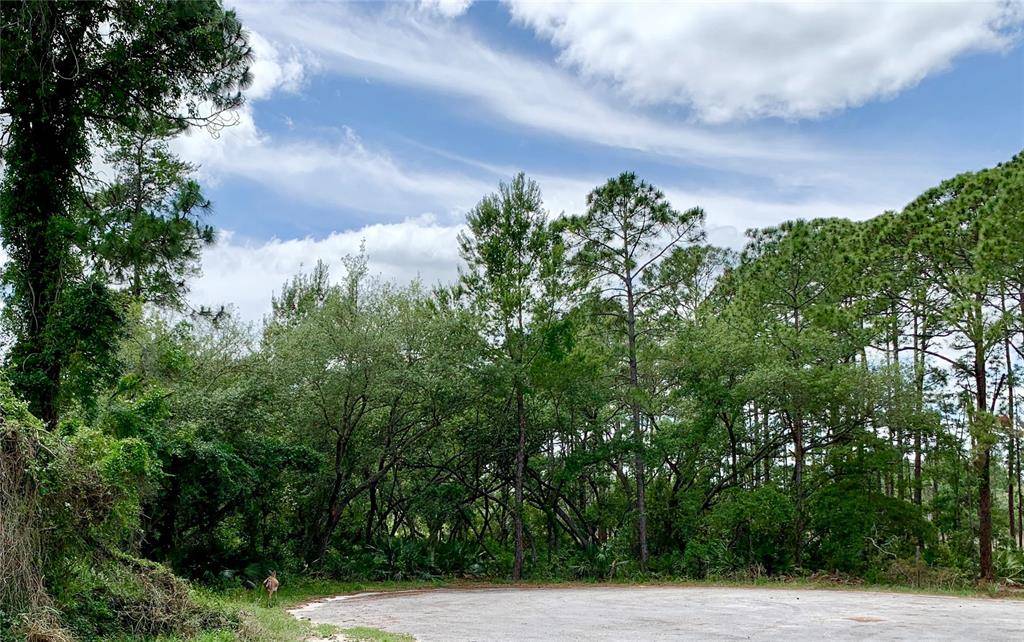 Eustis, FL 32736,Lot 11 ASPEN CT