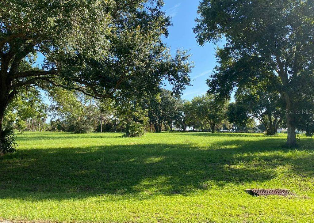 Groveland, FL 34736,LOT 69.  ROYAL PALM DR