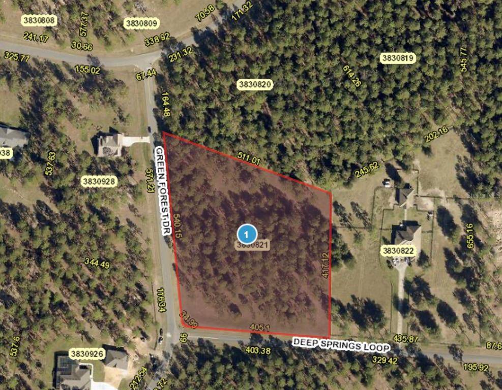 Eustis, FL 32736,24324 DEEP SPRINGS LOOP