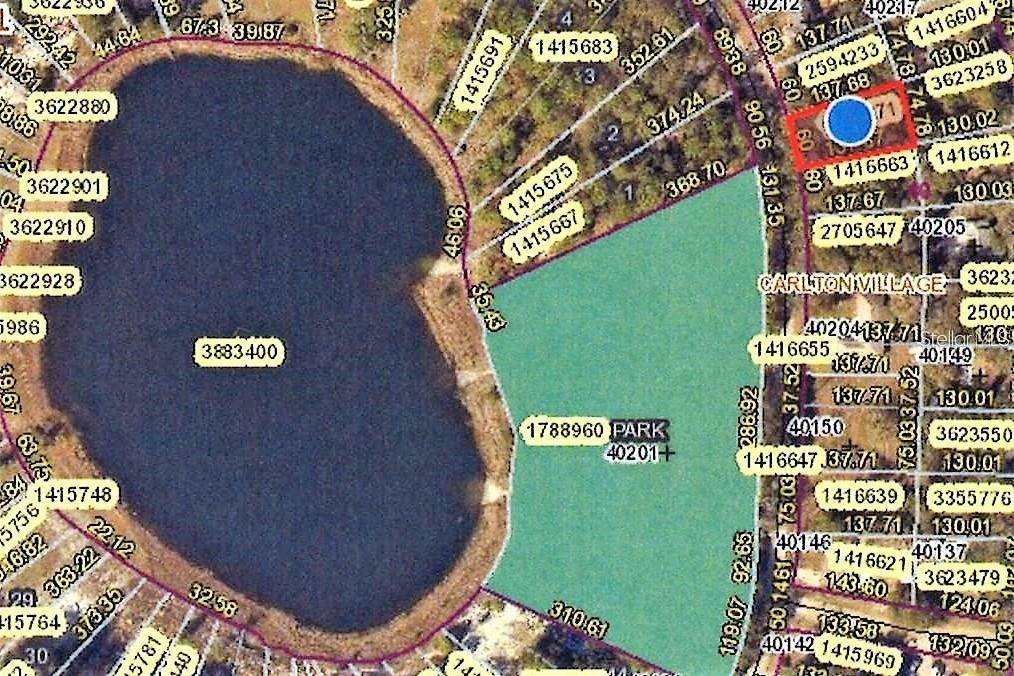 Lady Lake, FL 32159,ORANGE CIR