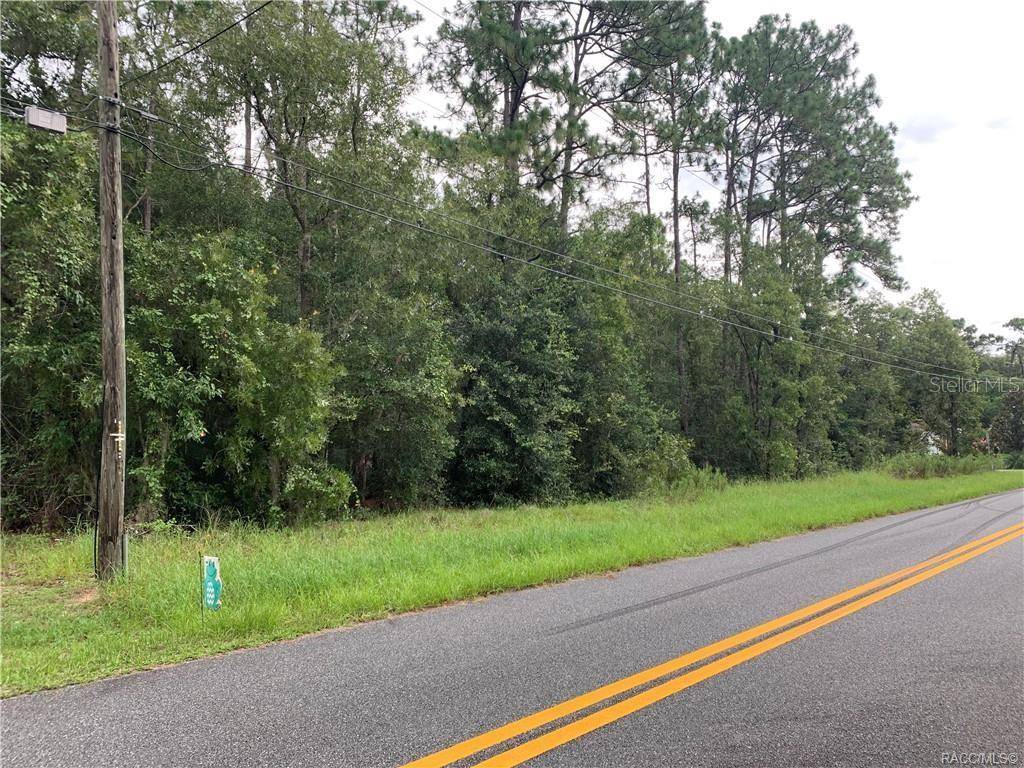 Ocala, FL 34473,lots 2 & 3 SW 131ST STREET RD