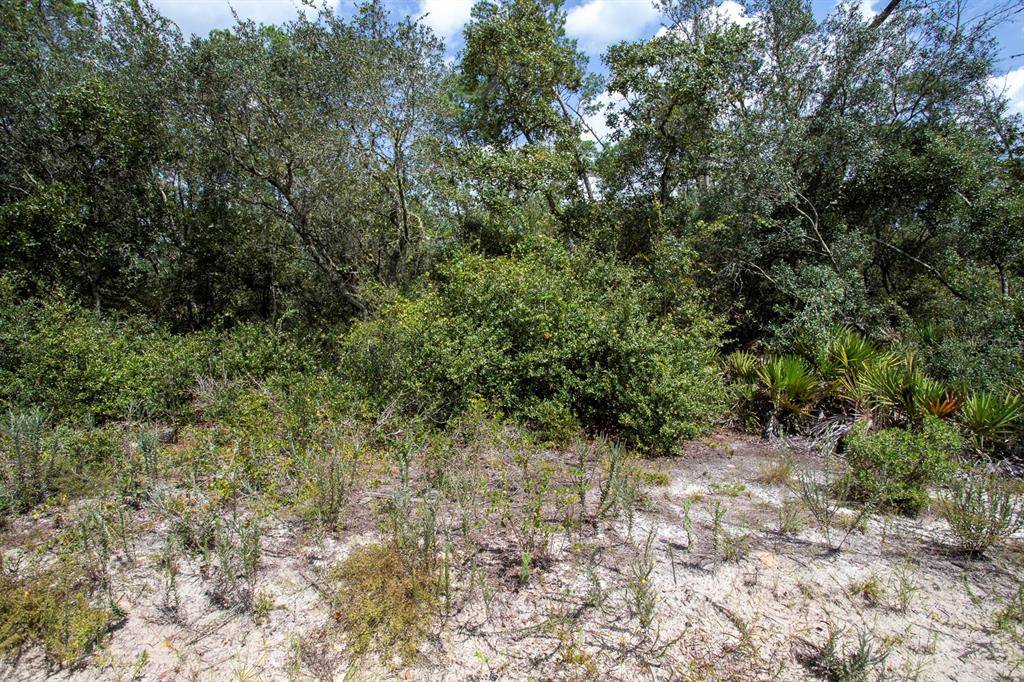 Umatilla, FL 32784,0 SE 145TH PL