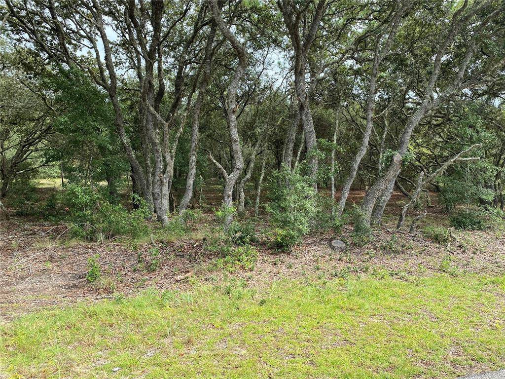 Dunnellon, FL 34431,SW PINE BLUFFS RD