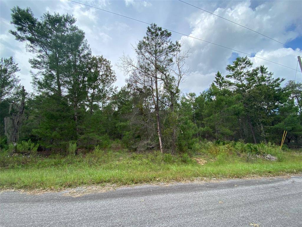 Ocklawaha, FL 32179,0000 FISHER TRL