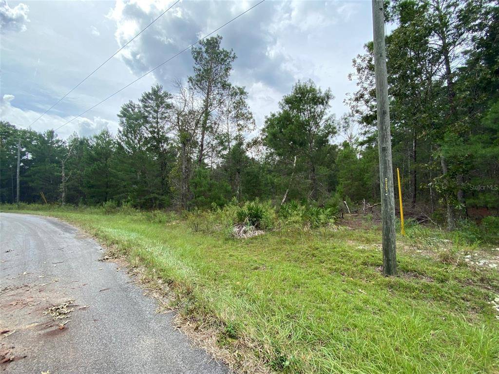 Ocklawaha, FL 32179,0000 FISHER TRL