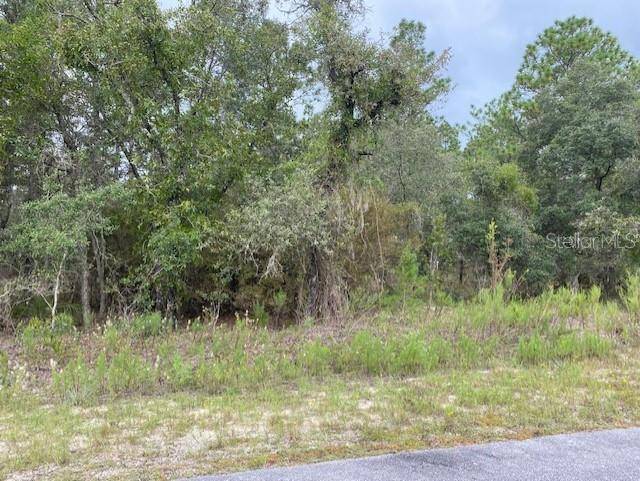 Dunnellon, FL 34431,684 SW TAMIAMI PL