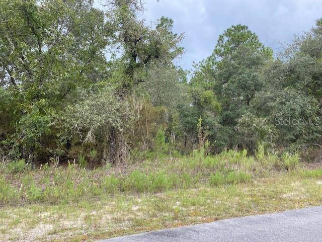 Dunnellon, FL 34431,684 SW TAMIAMI PL