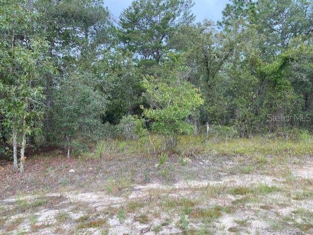 Dunnellon, FL 34431,682 SW TAMIAMI PL