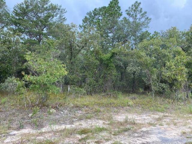 Dunnellon, FL 34431,682 SW TAMIAMI PL