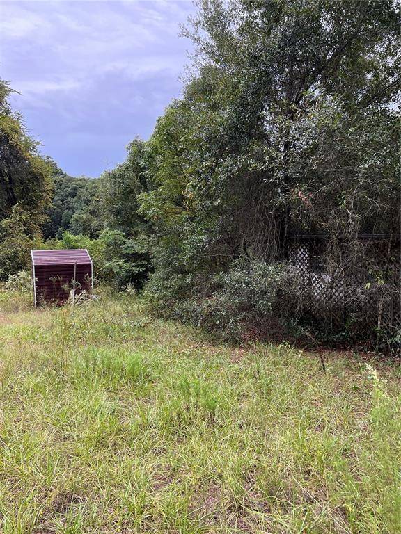 Weirsdale, FL 32195,16145 SE 134TH CT