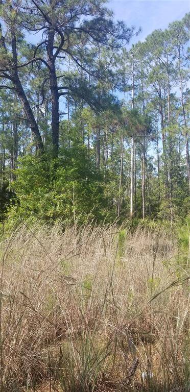 Altoona, FL 32702,DEER CROSSING RD