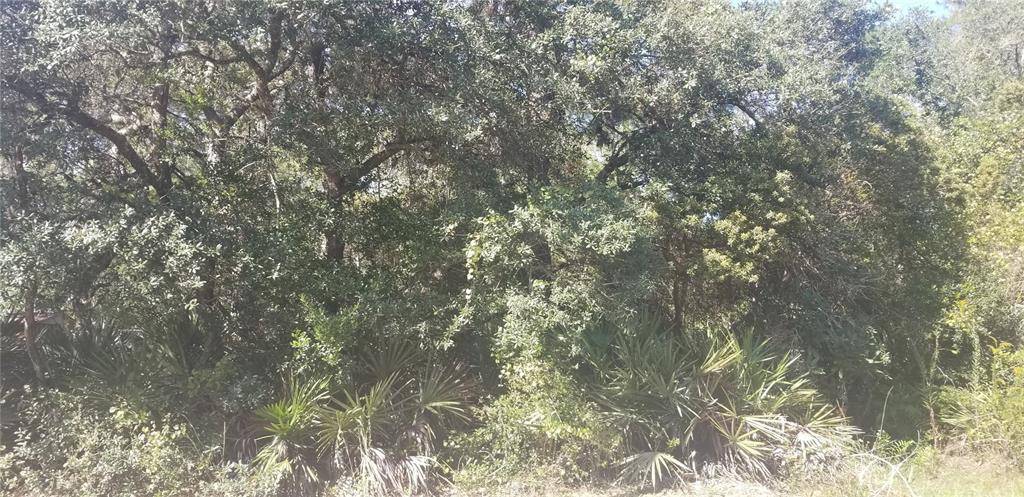 Altoona, FL 32702,DEER CROSSING RD