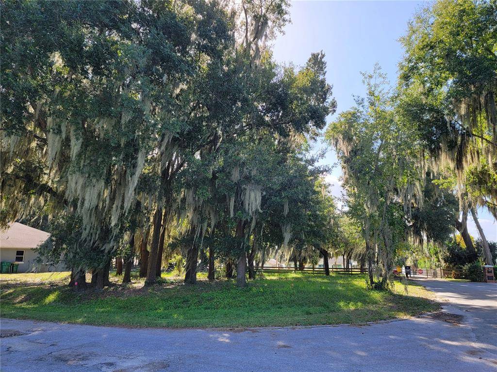 Eustis, FL 32726,LOT 1 MEADOWSIDE DR