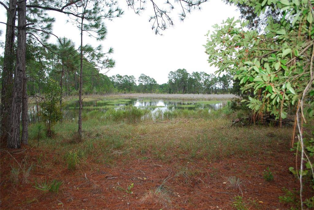 Paisley, FL 32767,42826 PINEY ACRES TRL