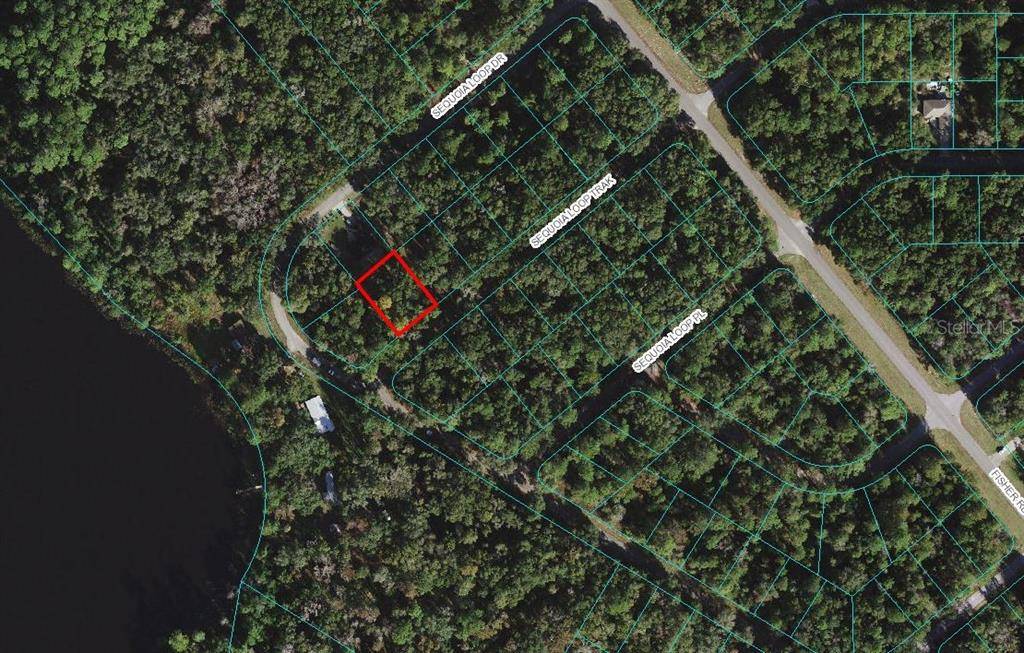 Ocklawaha, FL 32179,Lot 15 SEQUOIA  LOOP TRAK