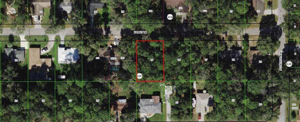 Inverness, FL 34452,6106 E DALY LN