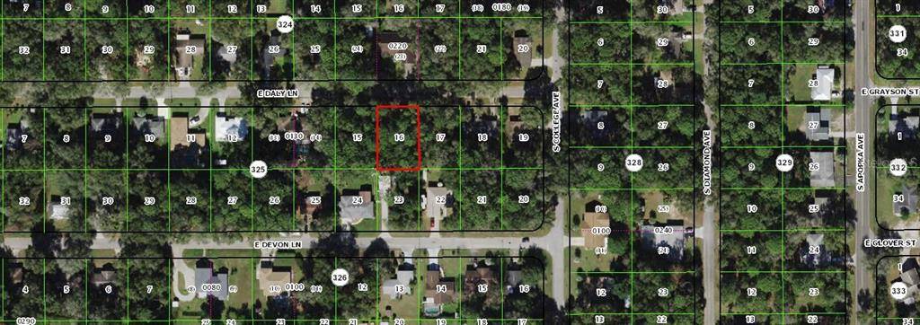 Inverness, FL 34452,6122 E DALY LN