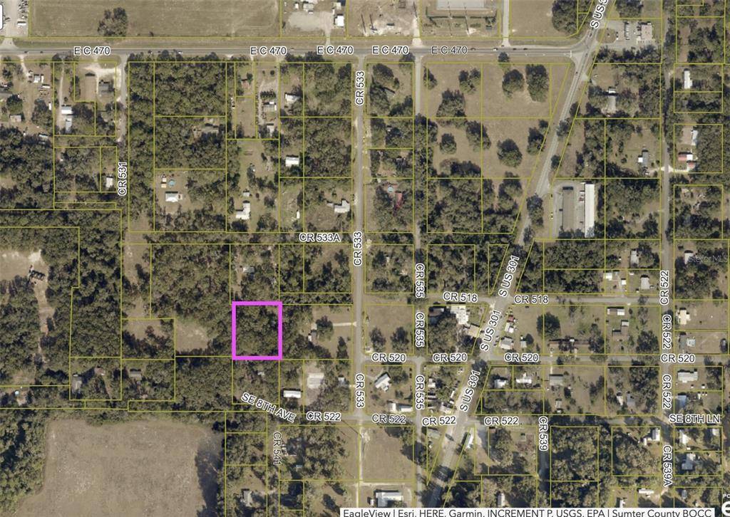 Sumterville, FL 33585,CR 533A