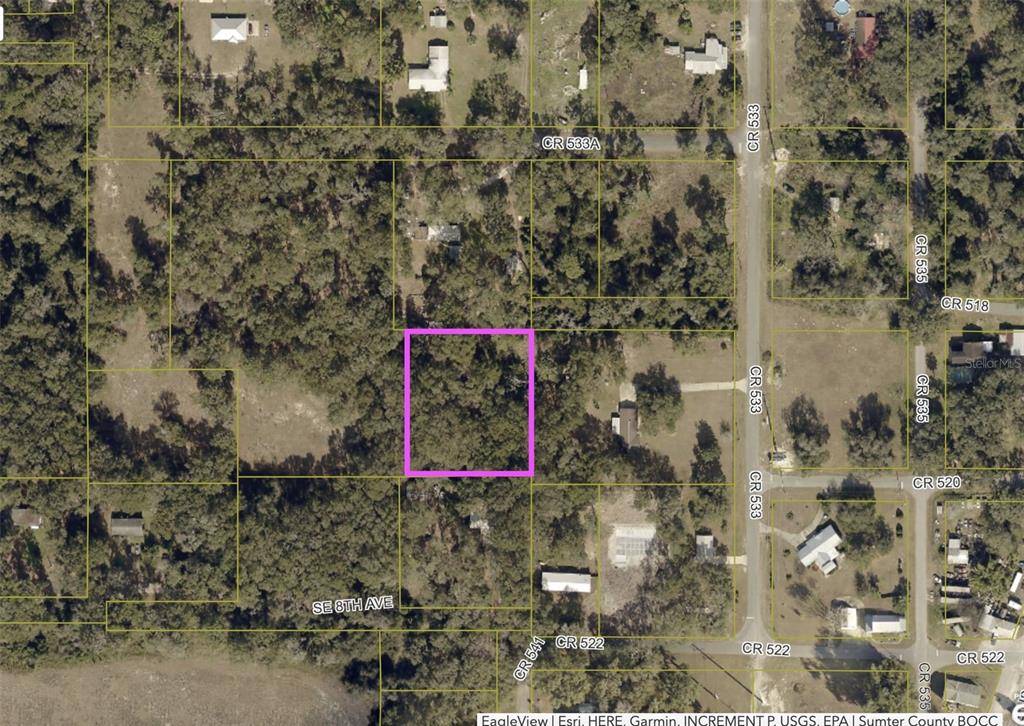 Sumterville, FL 33585,CR 533A