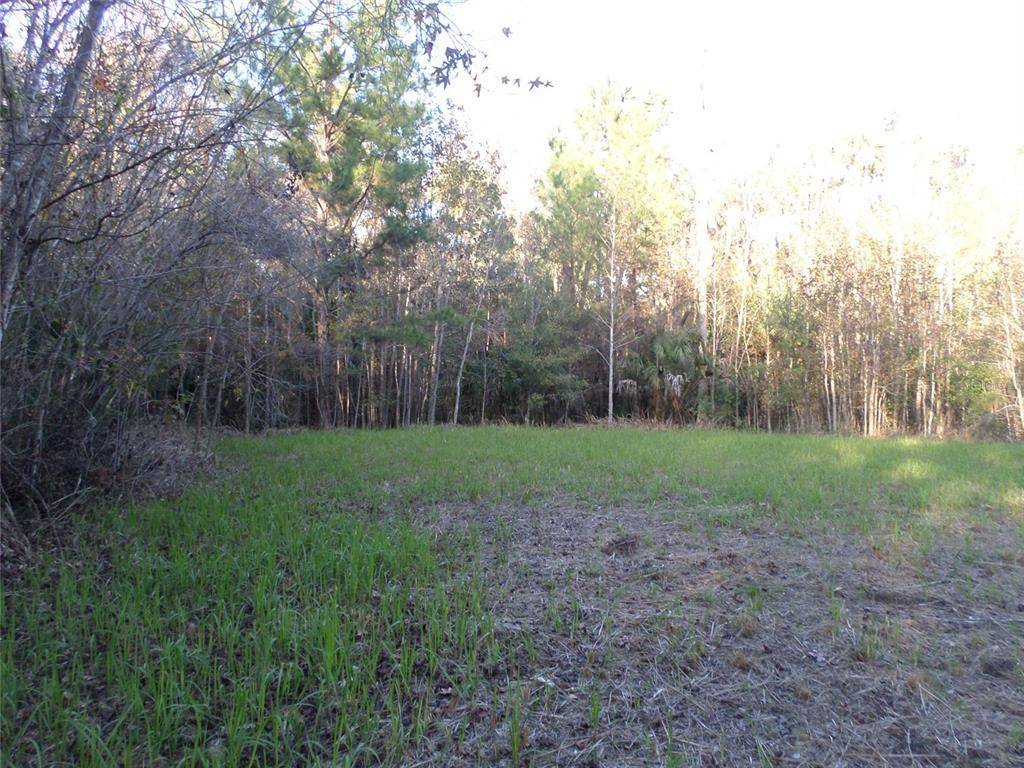 Astor, FL 32102,0 POSSUM RD