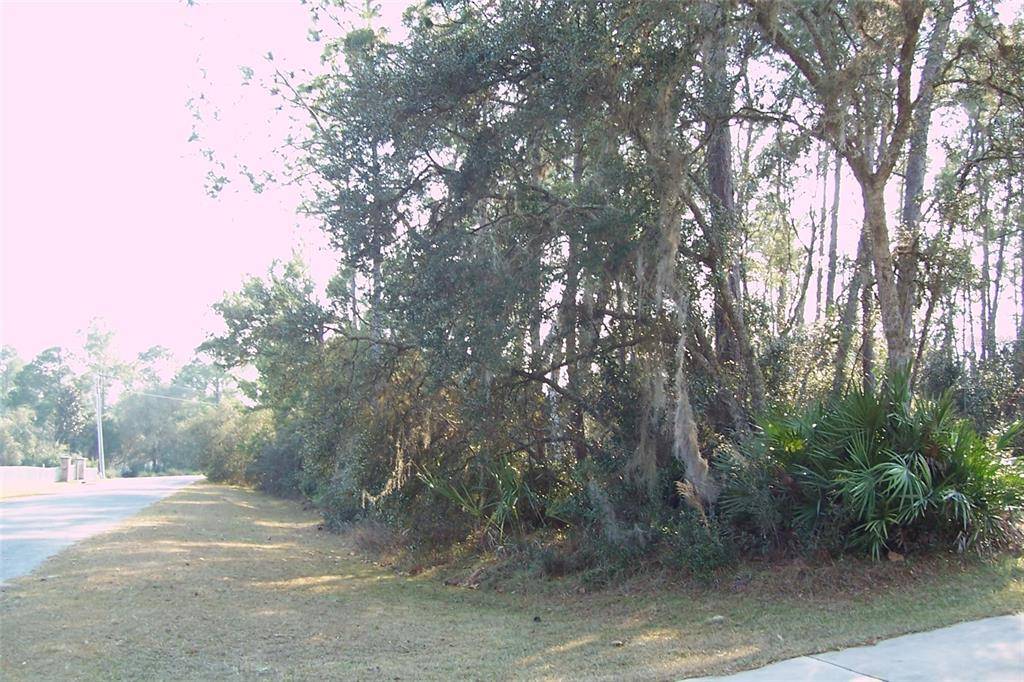 Eustis, FL 32736,E BLUEBELL AVE